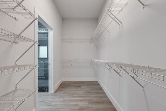 spacious closet with light wood-type flooring