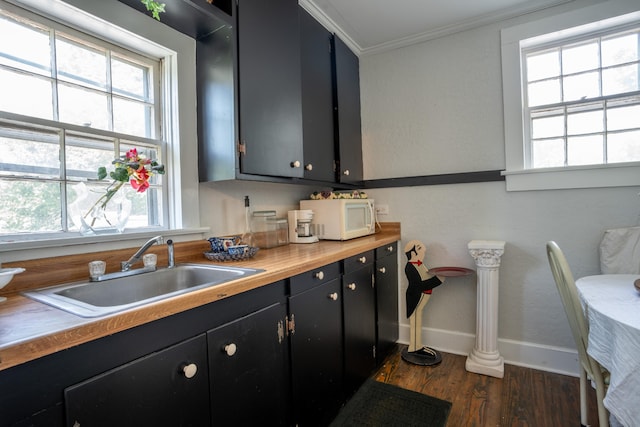 kitchen with a wealth of natural light, sink, butcher block countertops, and dark hardwood / wood-style floors