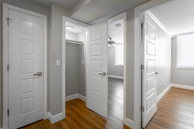 corridor with ornamental molding, a healthy amount of sunlight, baseboards, and wood finished floors