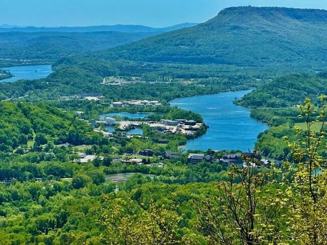 drone / aerial view with a wooded view and a water and mountain view