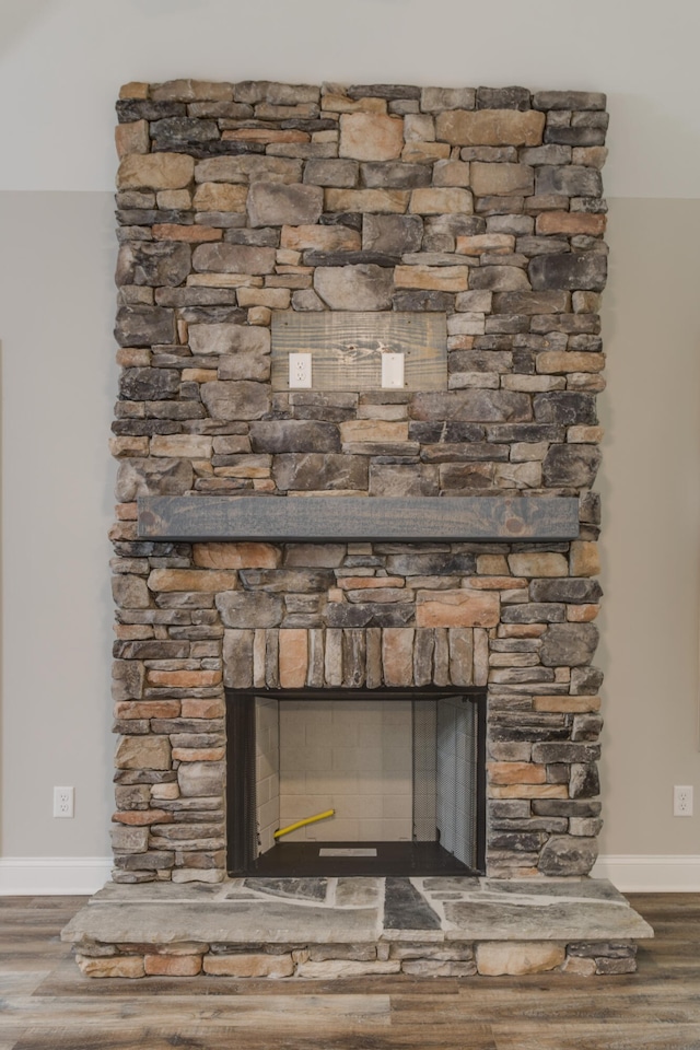 details featuring wood-type flooring and a fireplace