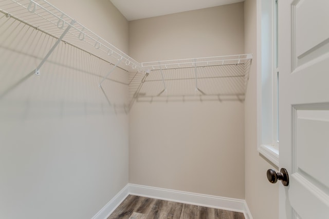 walk in closet featuring dark wood-type flooring