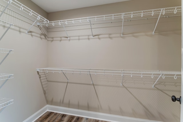 spacious closet featuring hardwood / wood-style flooring