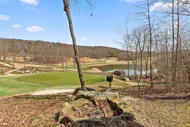 835 Rushing Water Trl, Rising Fawn, GA 30738 - surrounding community with view of golf course and a water view