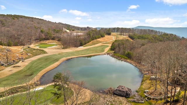 birds eye view of property with a water and mountain view