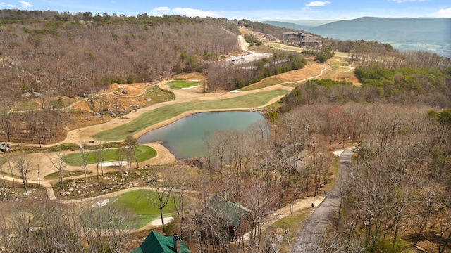 drone / aerial view featuring a water and mountain view