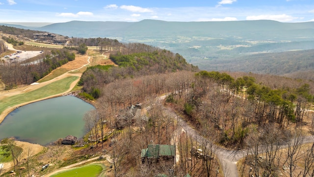 bird's eye view featuring a water and mountain view