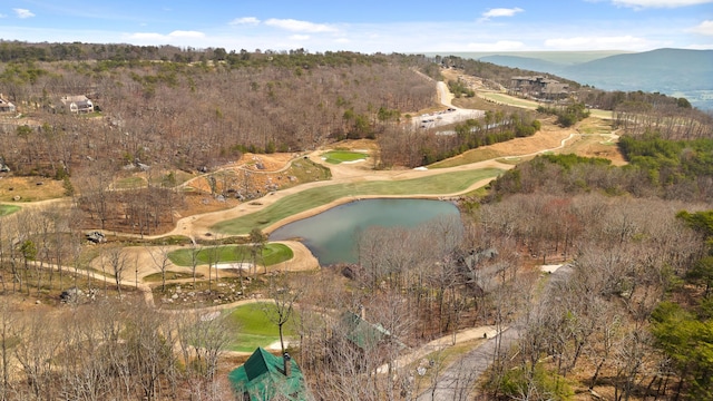 drone / aerial view featuring a water and mountain view