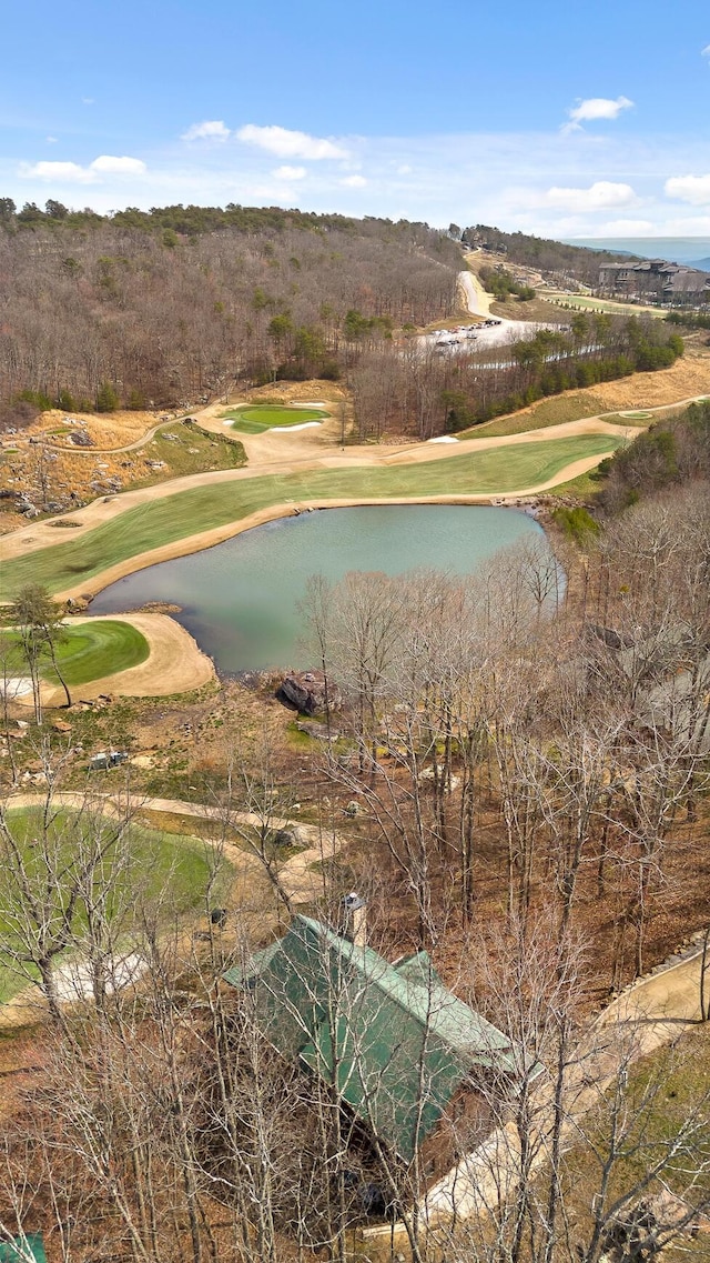835 Rushing Water Trl, Rising Fawn, GA 30738 - bird's eye view of a local golf course and a large body of water