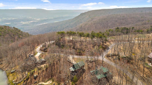 bird's eye view featuring a mountain view