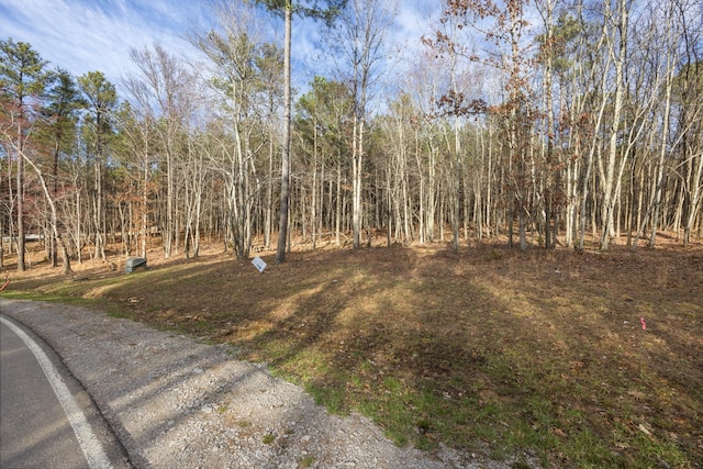 Listing photo 2 for 0 Raulston Falls Rd, Jasper TN 37347