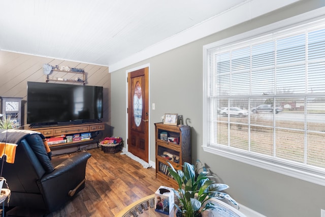 living room with wood walls, plenty of natural light, and hardwood / wood-style floors