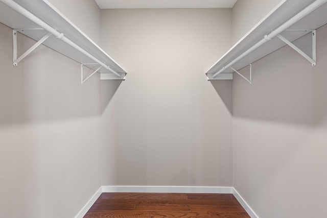 walk in closet featuring hardwood / wood-style flooring