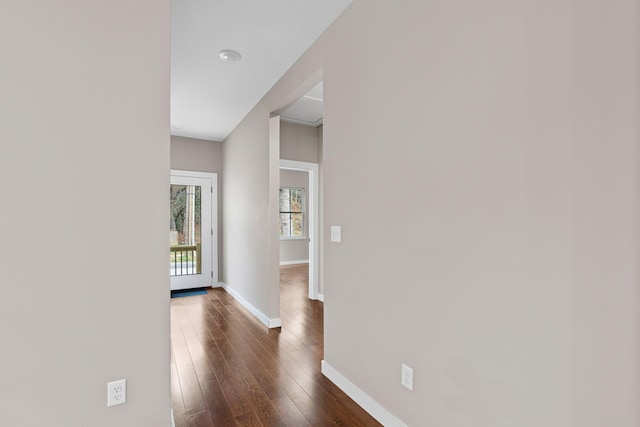 hallway featuring dark wood-type flooring