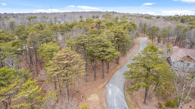 Listing photo 2 for 0 Rushing Water Trl, Rising Fawn GA 30738