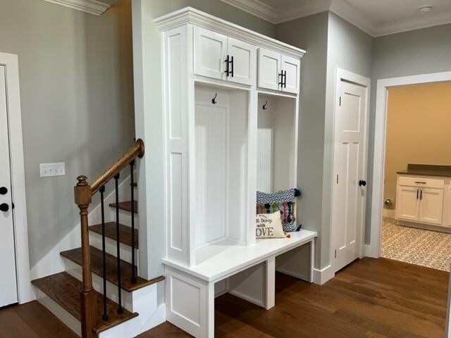 mudroom with crown molding and dark wood-type flooring