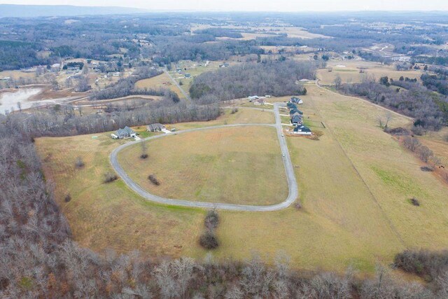 451 Overlook Dr, Dayton, TN 37321 - photo 4