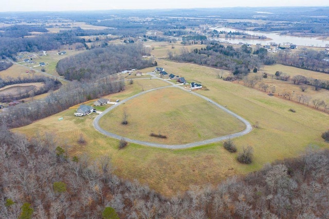 451 Overlook Dr, Dayton, TN 37321 - photo 5
