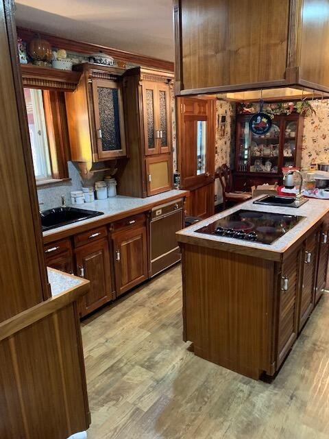 kitchen with black electric stovetop, light hardwood / wood-style floors, sink, and dishwasher