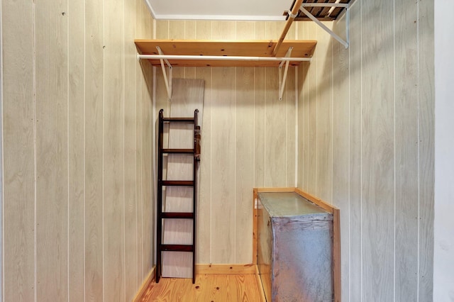 walk in closet with light wood-type flooring