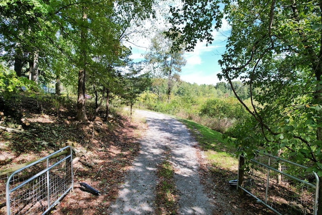 view of road