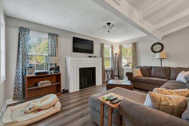 living room with wood-type flooring, a textured ceiling, and beam ceiling