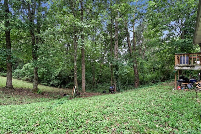 view of yard featuring a wooden deck