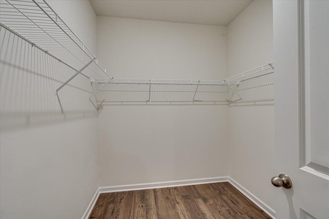 spacious closet featuring dark hardwood / wood-style floors