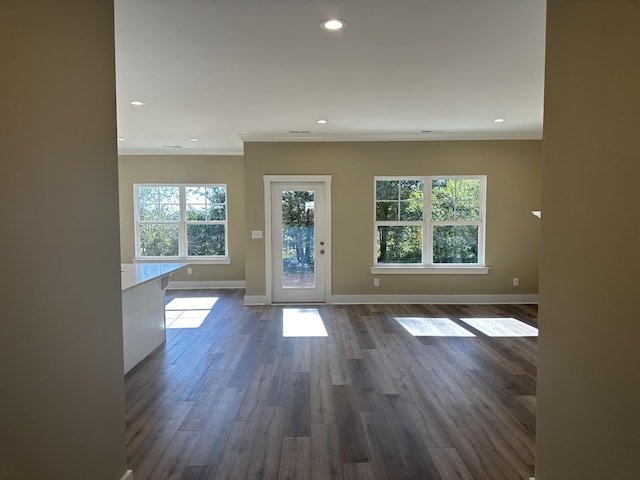 spare room featuring ornamental molding and dark hardwood / wood-style floors