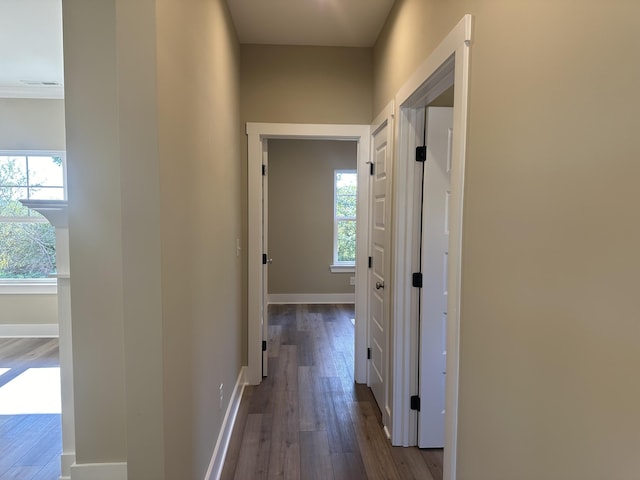 hall with wood-type flooring