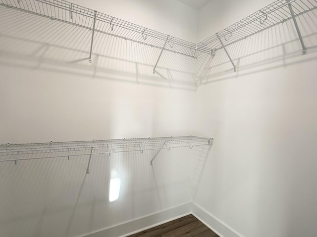 spacious closet featuring wood-type flooring