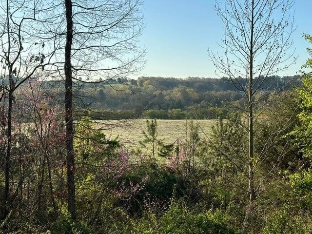 1 N Lee Hwy, Cleveland TN, 37312 land for sale