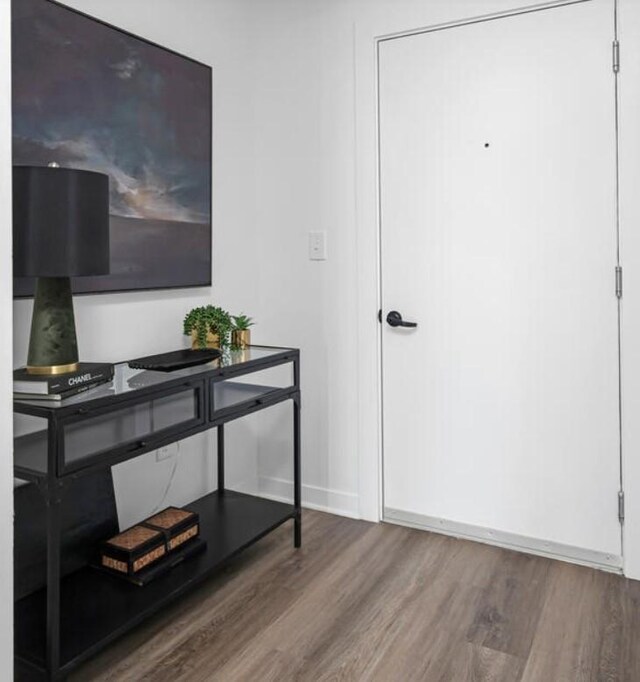 foyer entrance featuring wood-type flooring