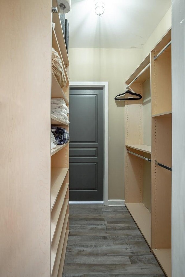 spacious closet with dark wood-type flooring