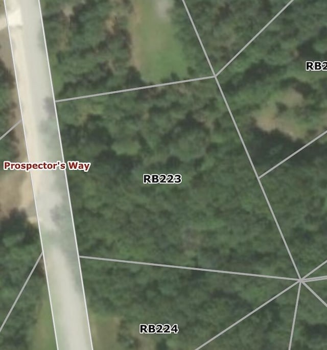 225 Prospectors Way, Jasper, TN 37347 - photo 8