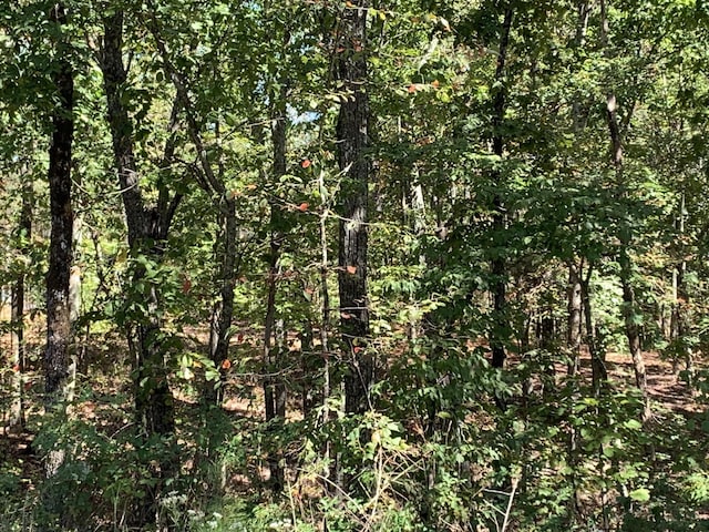 225 Prospectors Way, Jasper, TN 37347 - photo 25