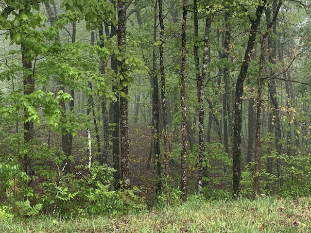 225 Prospectors Way, Jasper, TN 37347 - photo 1