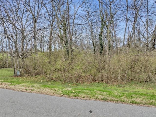 Listing photo 3 for 0 Stonegate Dr, Gallatin TN 37066