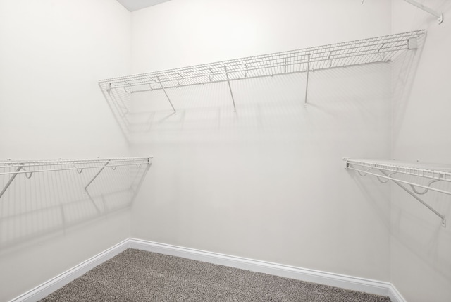 walk in closet with carpet