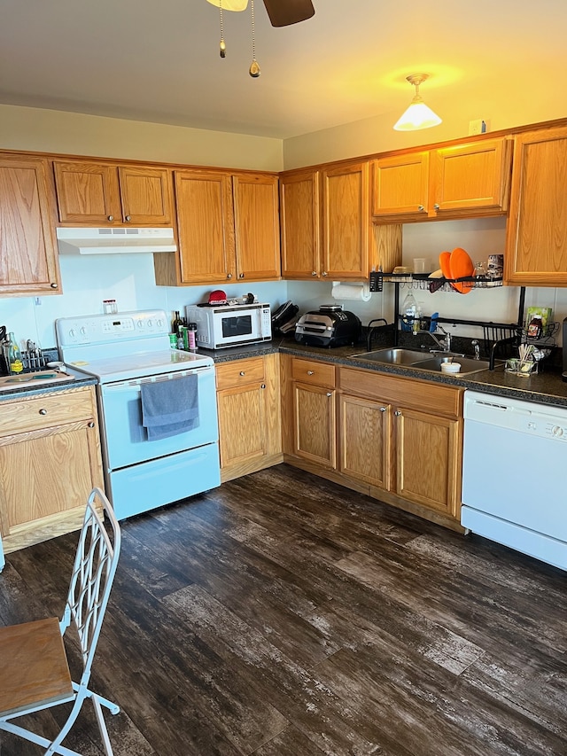 kitchen featuring ceiling fan, sink, dark hardwood / wood-style flooring, and white appliances