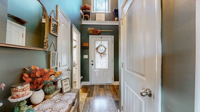 entryway featuring hardwood / wood-style floors