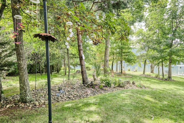 20 Victoria Way, Crossville, TN 38558 - photo 54