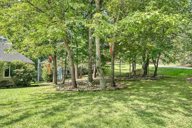 20 Victoria Way, Crossville, TN 38558 - photo 53