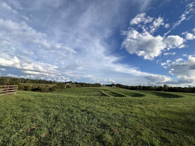 view of yard with a rural view