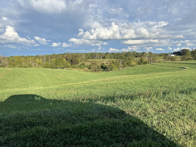 view of landscape featuring a rural view