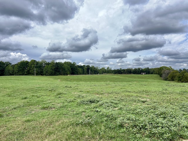 view of yard with a rural view