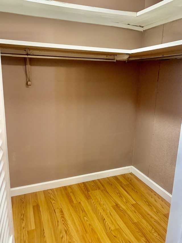 spacious closet with hardwood / wood-style flooring