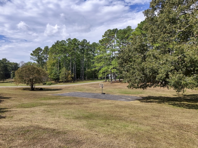 view of community with a yard