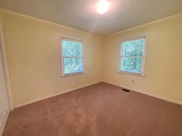 carpeted spare room with a healthy amount of sunlight