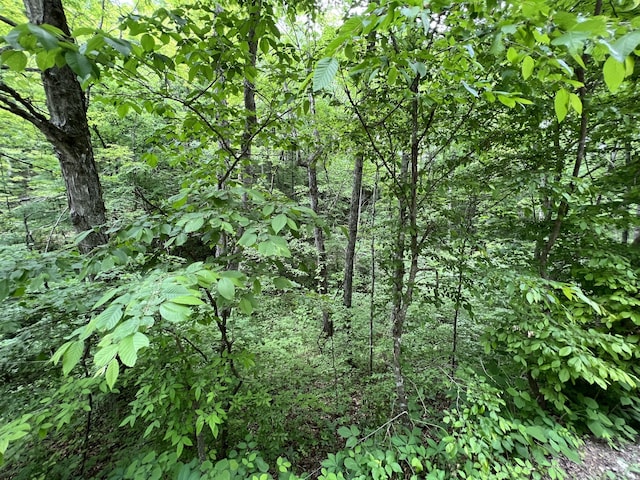 Listing photo 3 for 0 Clay Lick Rd, Whites Creek TN 37189